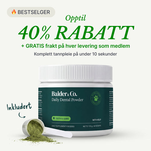 Probiotisk algepulver