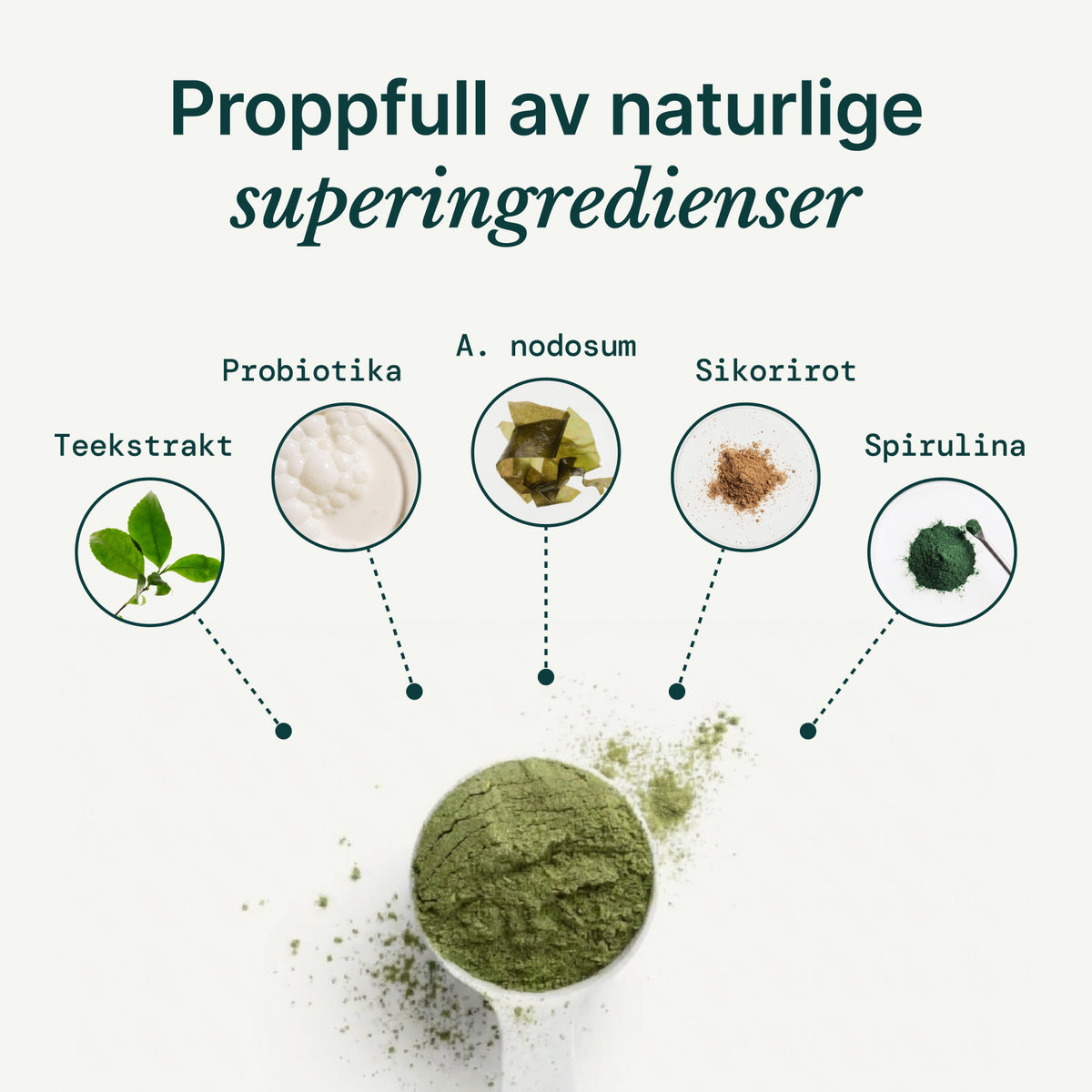 Probiotisk algepulver