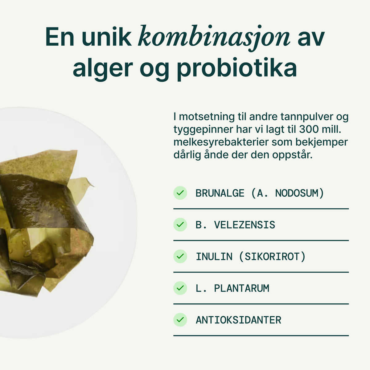 Probiotisk algepulver