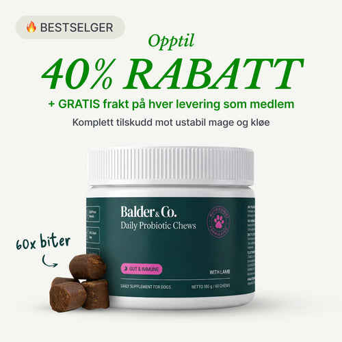 Probiotiske tyggebiter