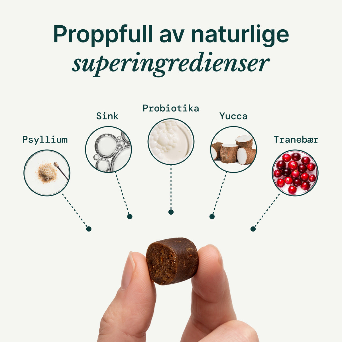 Probiotiske tyggebiter