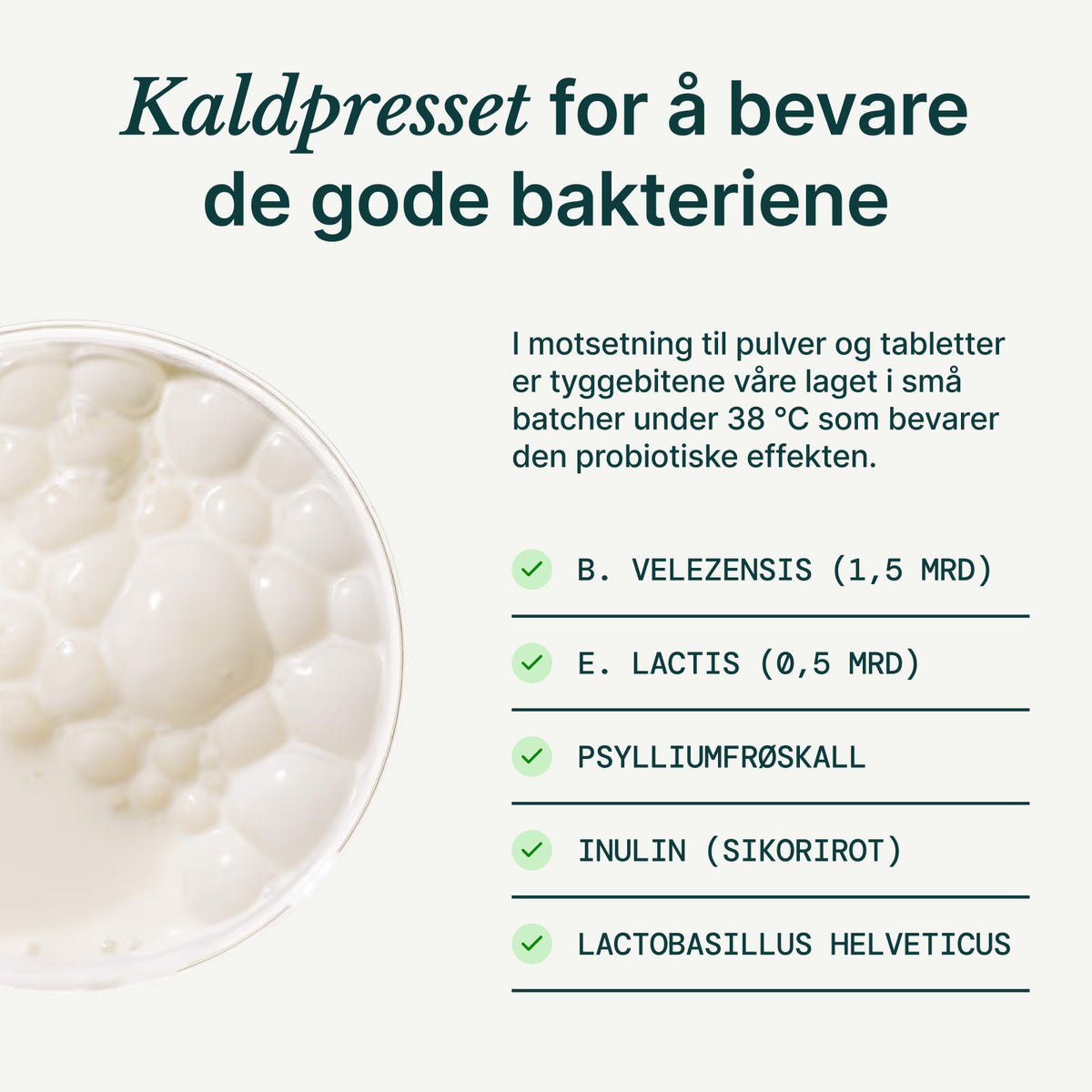 Probiotiske tyggebiter